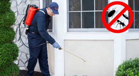 Kozlu Böcek ve Haşere İlaçlama böcek ilaçlama ve haşere kontrolü — ilaclama-tr.com